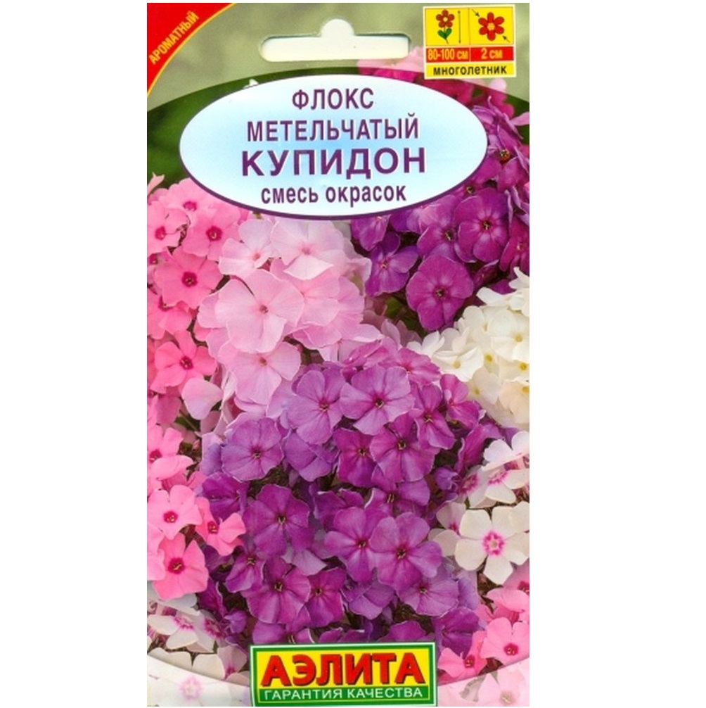 Флоксы Цветы Купить Семена